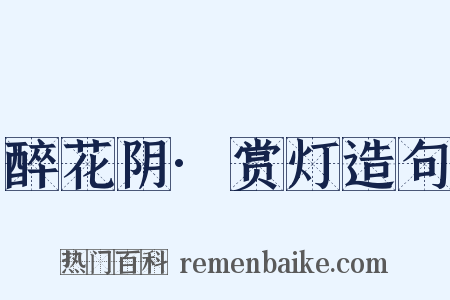 醉花阴·赏灯造句是什么意思的图片